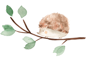 hedgehog-min hedgehog-min