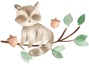 raccoon-min raccoon-min